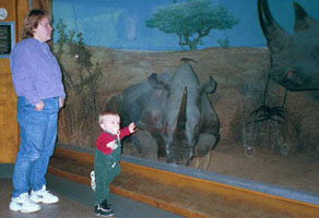Alexander and a rhinocerous